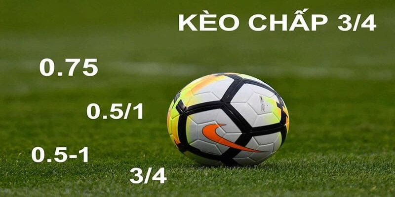 cách tải mmlive - Tìm hiểu về cách đánh giá và chọn lựa kèo cược hiệu quả